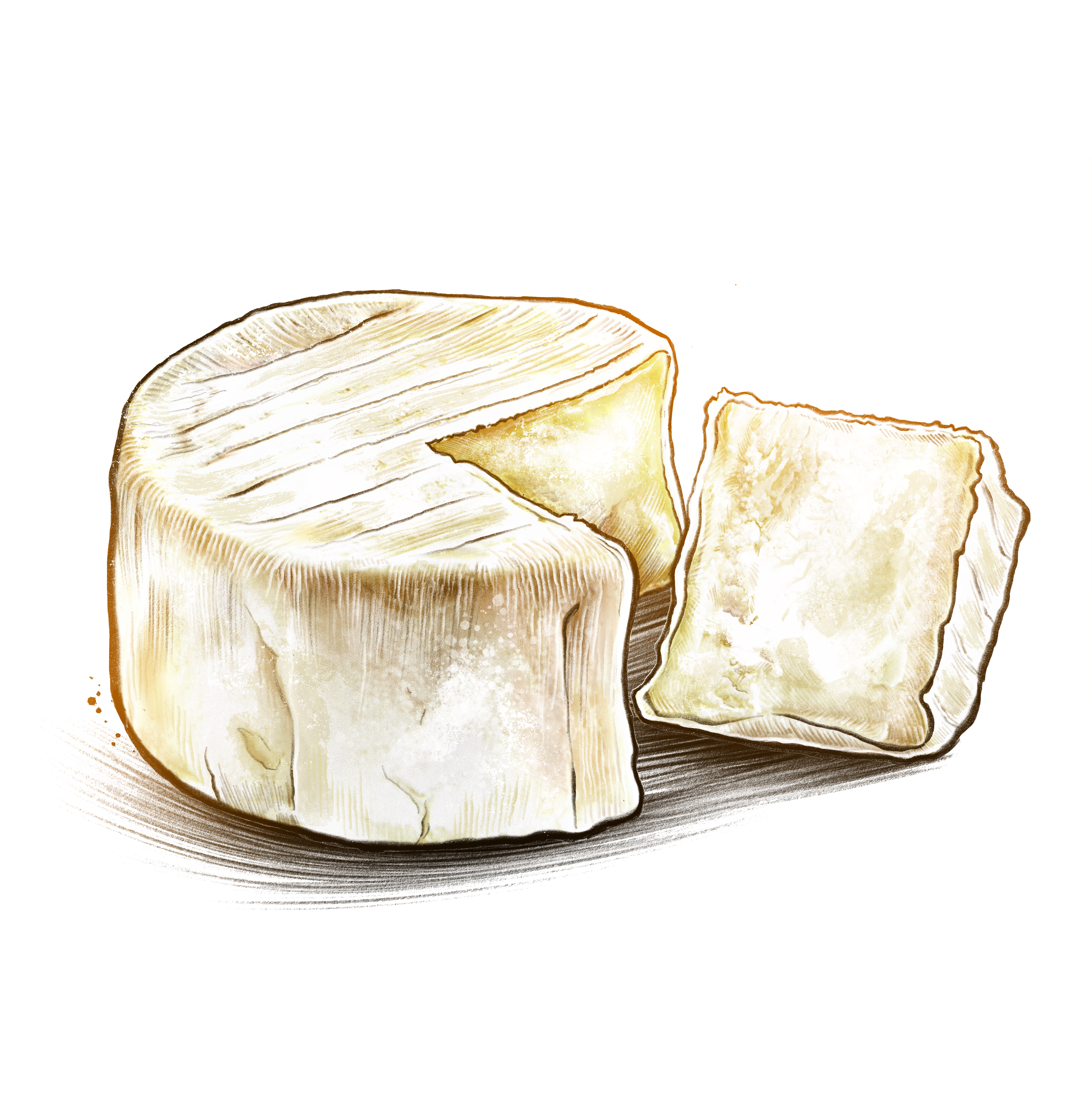 Weichkaese.png